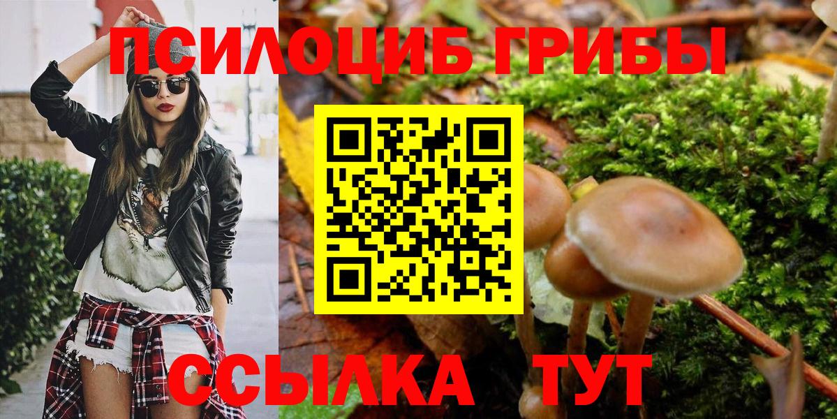 Псилоцибиновые грибы ЛСД  Галлюциногенные грибы Cubensis  наркотики  Алейск  Вход с VPN 