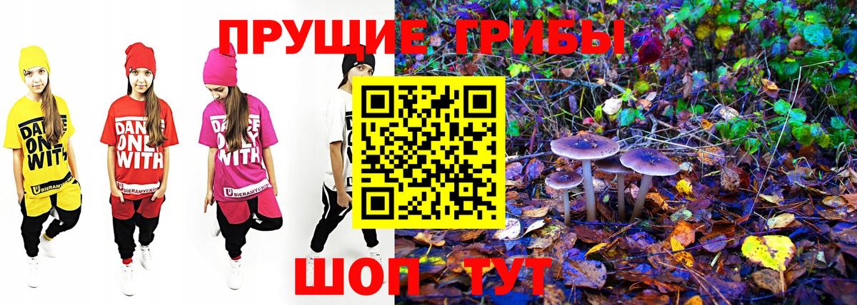 Псилоцибиновые грибы MAGIC MUSHROOMS Алейск